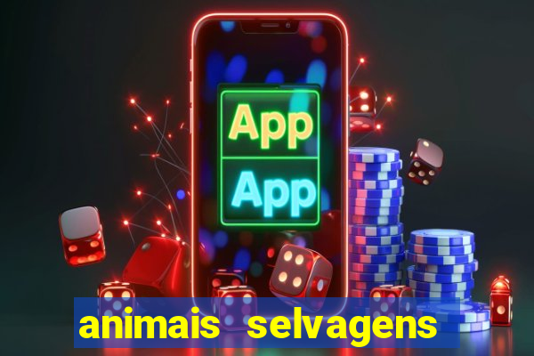 animais selvagens fotos e nomes